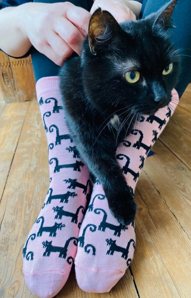 Женские хлопковые носки розового цвета с узором в виде черных кошек BLACKCAT