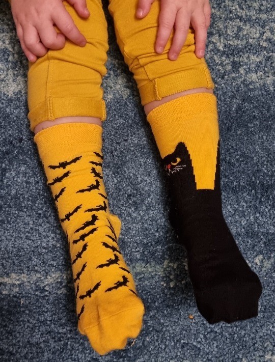 yellow socks with a black cat and bats
