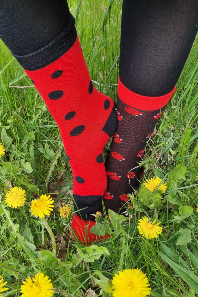 socks with ladybugs