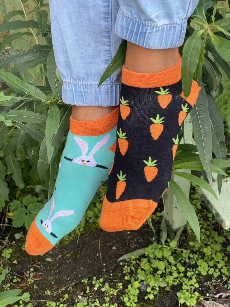 socks with bunnies and carrots
