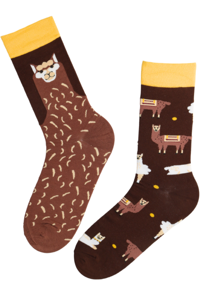 ANDREW cotton socks with llamas