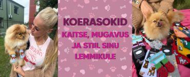 KOERASOKID Blogipäis
