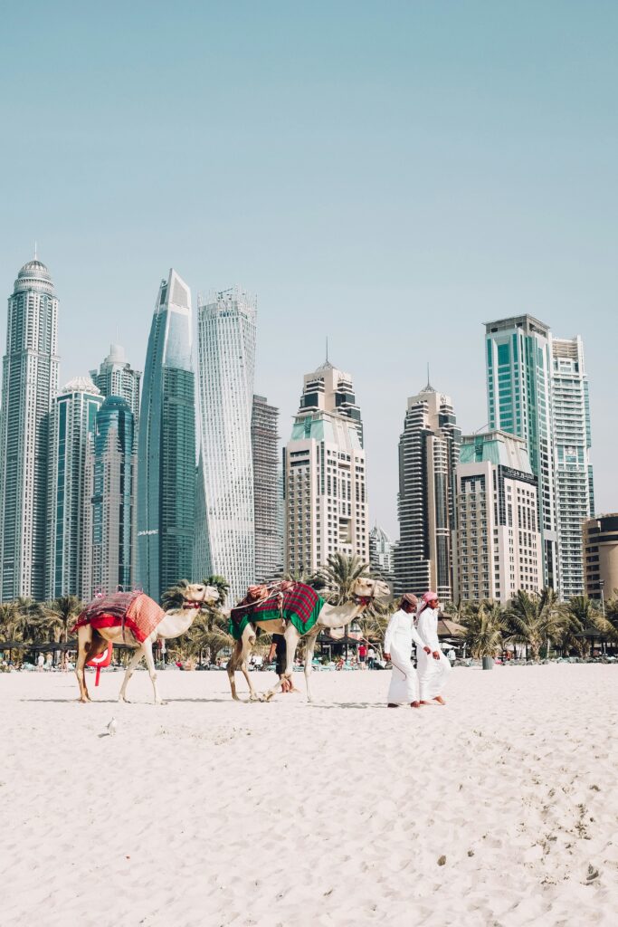 Dubai and camels in sand