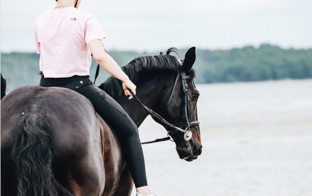 Black Horse By The Sea