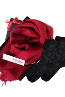 Alpaca wool scarf and TREEPEOPLE socks gift box for women | Sokisahtel