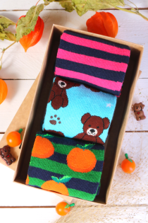 BEAR gift box with 3 pairs of socks | Sokisahtel