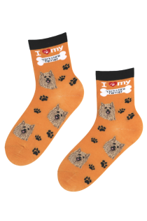 Хлопковые носки оранжевого цвета с изображением милых собачьих мордочек и следов от лап BESTDOG | Sokisahtel