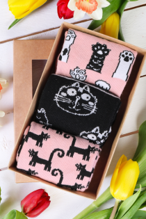 BLACK CAT gift box with 3 pairs of socks | Sokisahtel