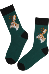 CASPIAN dark green cotton socks with deer | Sokisahtel