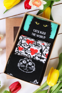 CATS RULE gift box with 3 pairs of socks | Sokisahtel