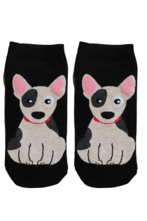 DOG low cut socks with bull terrier | Sokisahtel