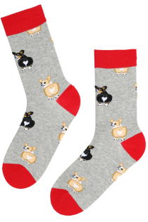 DOGGY grey cotton socks with corgis | Sokisahtel