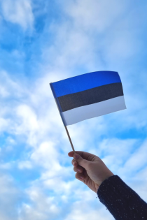 Ручной флажок в цветах эстонского государственного флага EESTI | Sokisahtel