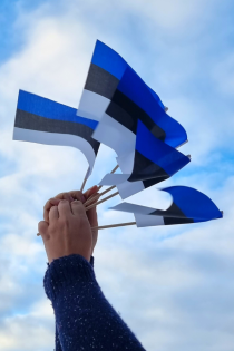 Комплект из 5 ручных флажков в цветах эстонского государственного флага EESTI | Sokisahtel