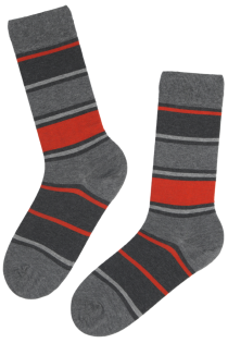 FANTASIA grey striped cotton socks | Sokisahtel
