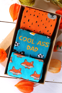 COOL DAD isadepäeva kinkekarp 3 sokipaariga | Sokisahtel