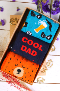 Подарочный набор из 3 пар милых носков на День отца ARTHUR | Sokisahtel