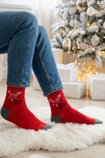 FERNANDO punased meeste jõulusokid põhjapõtradega | Sokisahtel