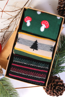 FROSTY gift box with 3 pairs of socks | Sokisahtel
