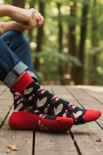 FUNGI seentega puuvillased sõnumiga sokid | Sokisahtel