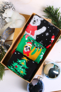 COMETTE gift box with 3 pairs of socks | Sokisahtel