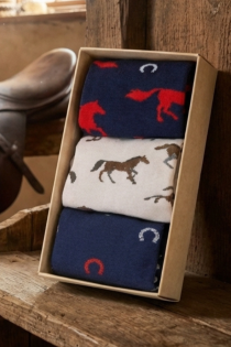 HORSE 2026 hobuseaasta kinkekarp kolme sokipaariga | Sokisahtel