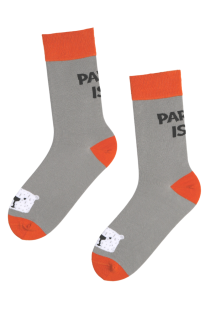 KARDO "PARIM ISA" grey Father's Day socks with a bear | Sokisahtel