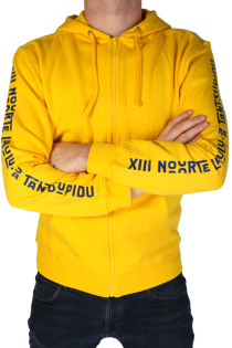 SONG AND DANCE CELEBRATION yellow hoodie for men | Sokisahtel