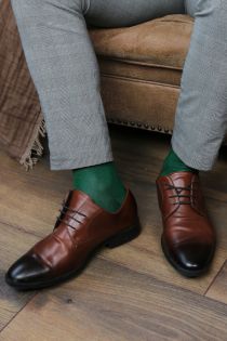 MARLON green viscose socks | Sokisahtel