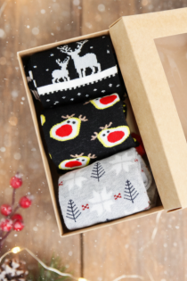 KRETON jõuluteemaline kinkekarp 3 sokipaariga | Sokisahtel
