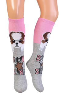 NOVA cotton knee-highs with dogs for kids | Sokisahtel