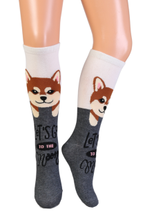 NOVA cotton knee-highs with shiba inu dogs for kids | Sokisahtel