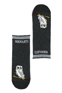 OWL tumehallid öökullidega sokid lastele | Sokisahtel