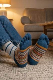 PERRY hallid triibulised varvassokid meestele | Sokisahtel