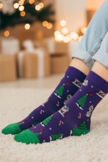 PRETTY lillad kassidega meriinovillased sokid | Sokisahtel