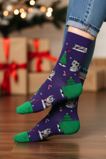 PRETTY lillad kassidega meriinovillased sokid lastele | Sokisahtel