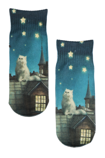 Printed children's socks featuring a cat on the roof and a starry sky.