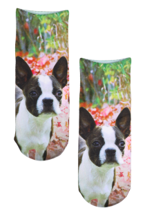 Colorful children's socks featuring a bulldog image and a nature-themed background.