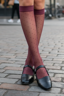 PUNTINI veinipunased täpilised põlvikud | Sokisahtel