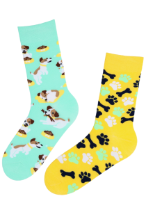 Хлопковые носки светло-мятного и жёлтого цвета в собачьей тематике ROBERTO | Sokisahtel