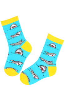 SHARKBOY blue cotton socks for kids | Sokisahtel