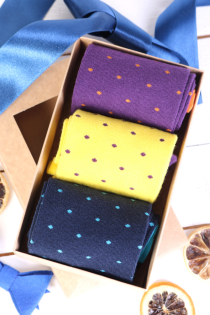 GORDON men's gift box with 3 pairs of socks | Sokisahtel