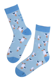 SEAGULL puuvillased helesinised sokid | Sokisahtel