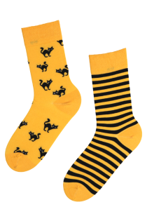 SCAREDY-CAT striped Halloween socks with a yellow cat | Sokisahtel