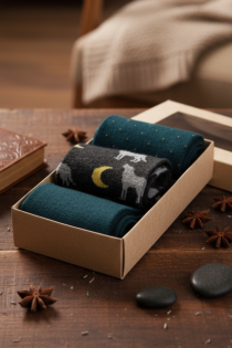 WOLFSTAR meriinovillaste sokkide kinkekarp | Sokisahtel