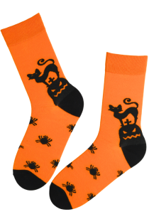 oranžid kassidega halloweeni sokid
