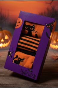 HALLOWEEN gift box with 3 pairs of cat socks | Sokisahtel