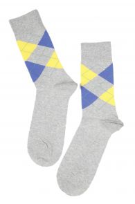 BENJAMIN men's cotton socks, grey colour | Sokisahtel