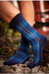 Мужские стильные хлопковые носки синего цвета с синими полосками CARL | Sokisahtel