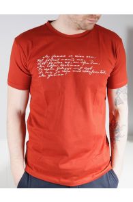 Men's brown T-shirt MINU ARM (my love) | Sokisahtel
